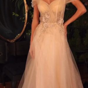 ALQUILER VESTIDO BEIGE TUL PRINCESA TALLE M